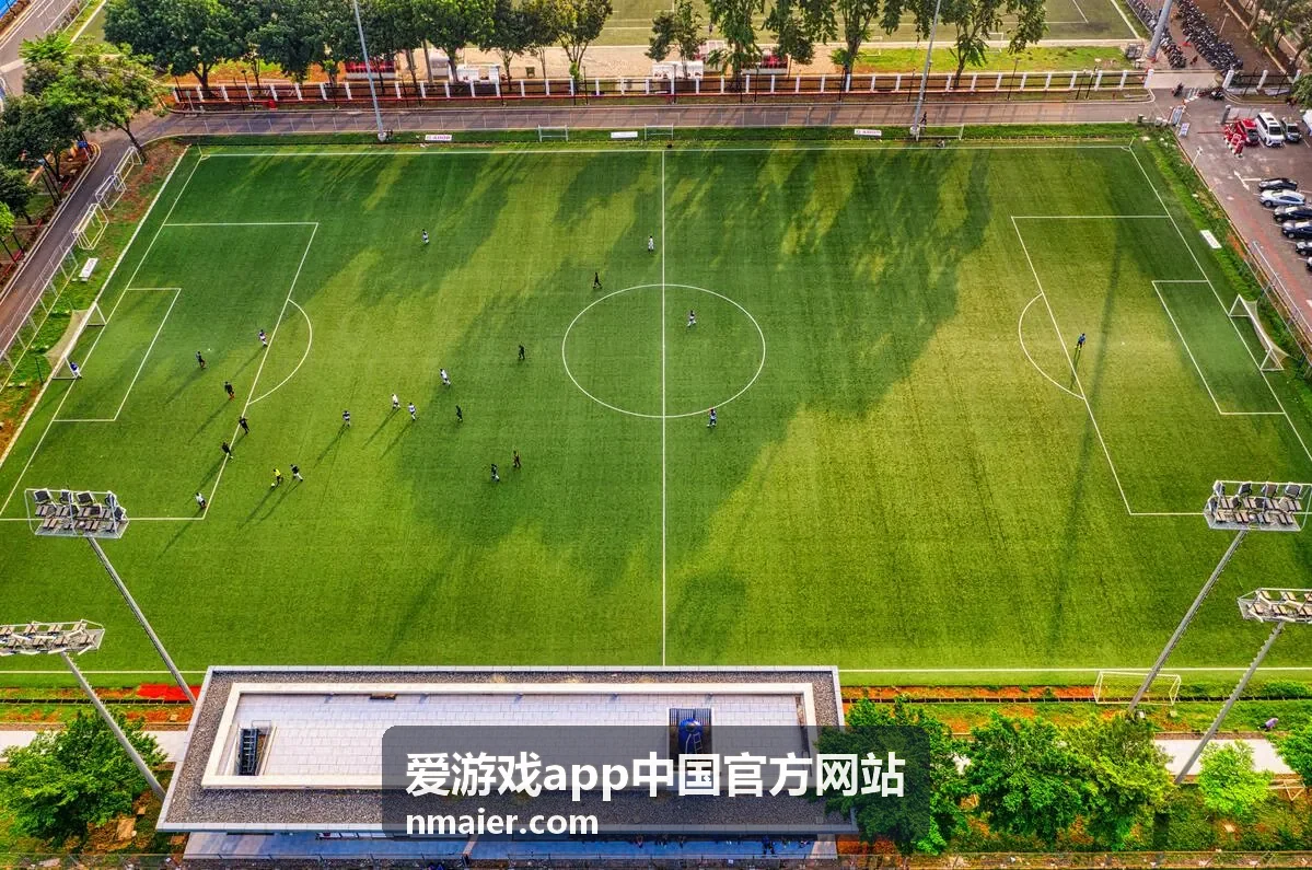 爱游戏app中文语音包封面